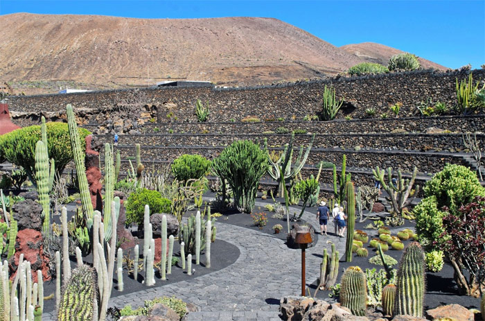 Cactus Garden in Lanzarote